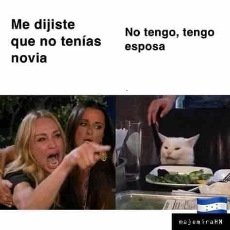 De D Nde Sali El Meme Del Gato En La Mesa Y La Mujer Gritando