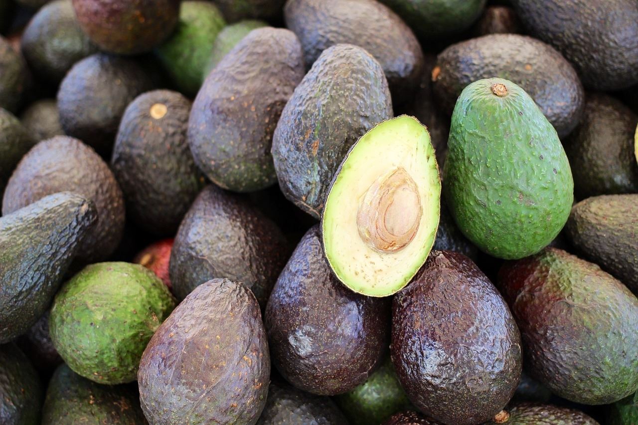 Carga de aguacate hacia EUA fue cancelada por motivos administrativos