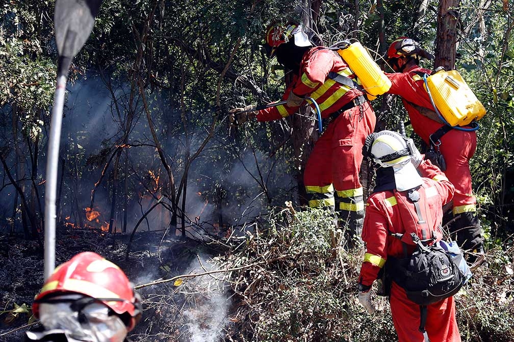 Retornan a su país brigadistas mexicanos que trabajaron en Chile