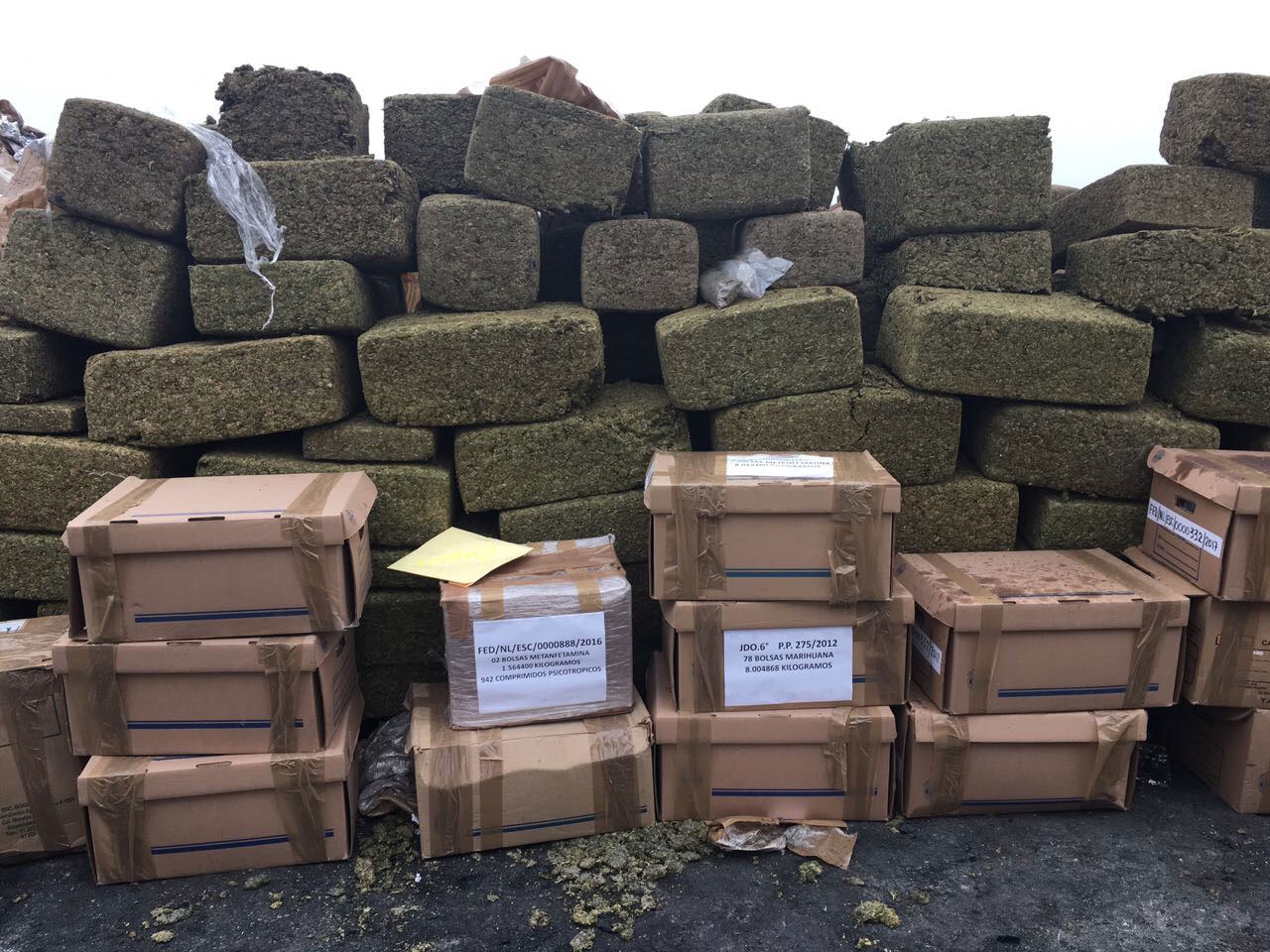 Incineran más de nueve toneladas de droga en Nuevo León