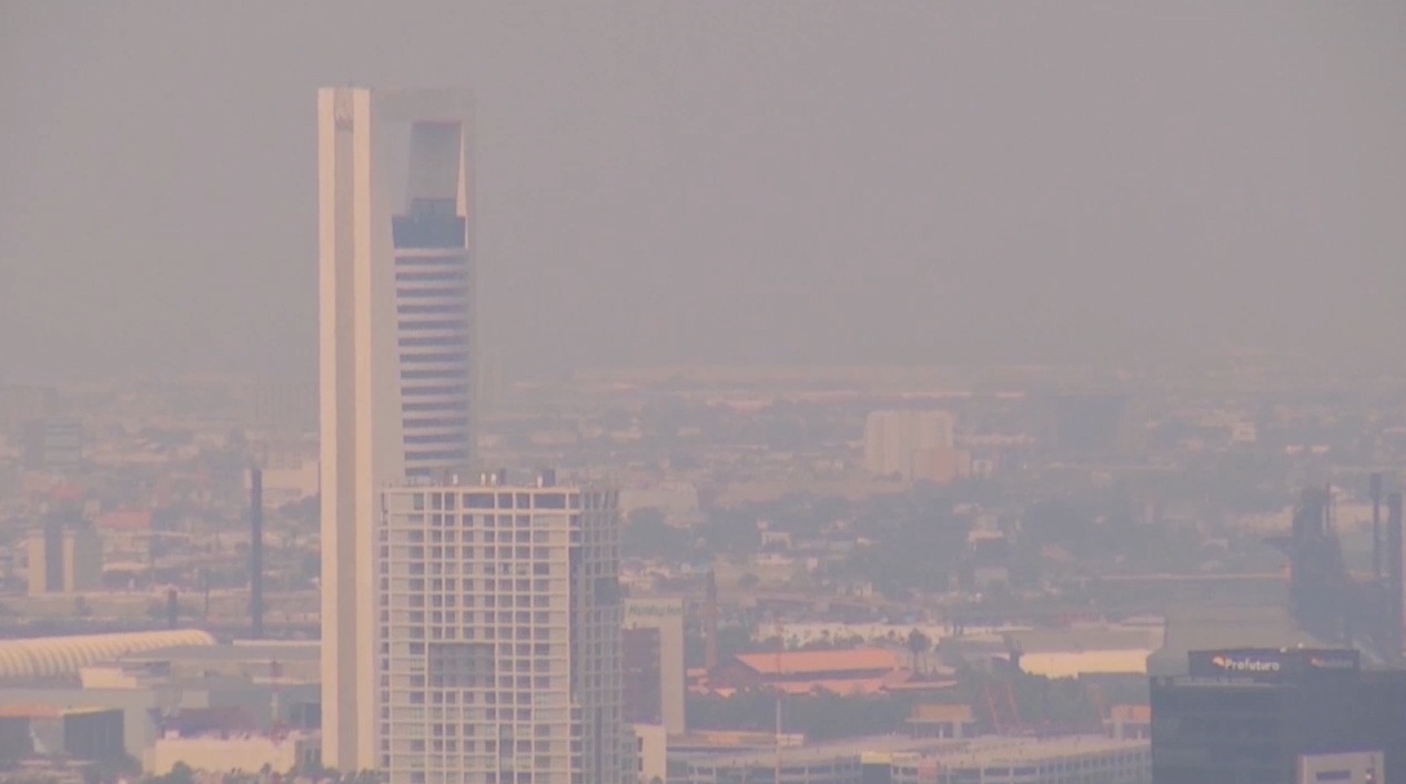 ¿Cuáles son los contaminantes en NL?