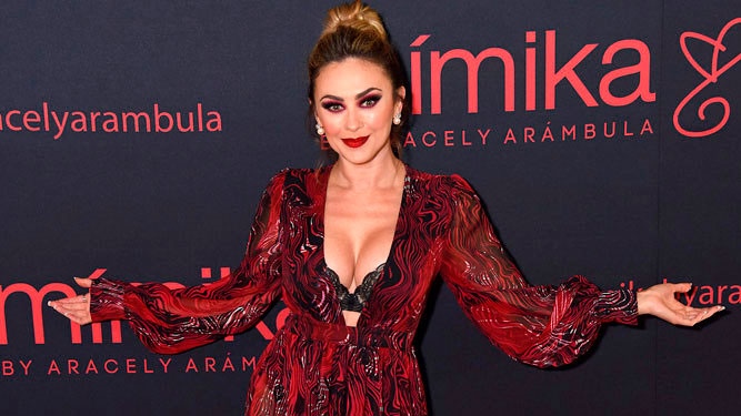 La decisión de no hablar de Luis Miguel es mía, nadie me la impuso: Aracely Arámbula