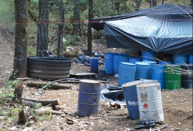 Policía Federal desmantela un laboratorio clandestino en Culiacán