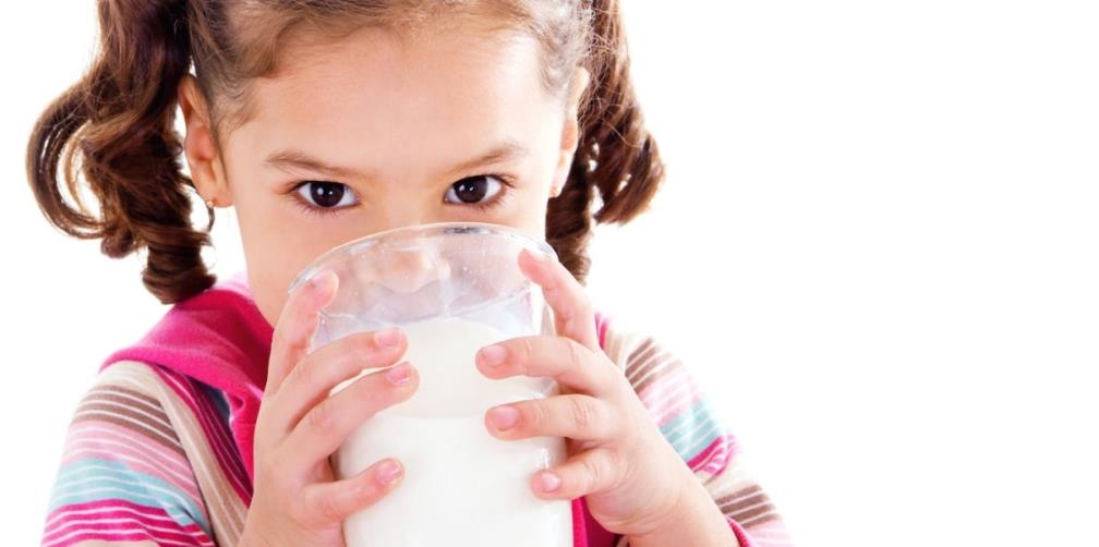 ¿Sabías que hoy es el Día Internacional de la Leche?