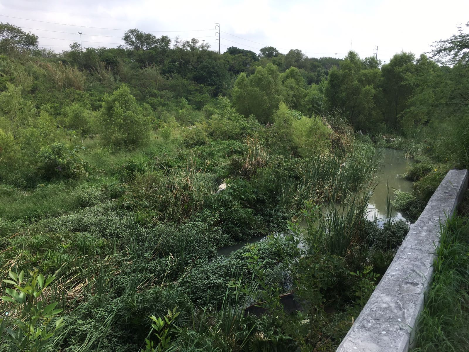 La contaminación en el Río La Silla, lleva mucho tiempo
