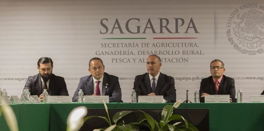 México intensifica acciones para diversificar mercados