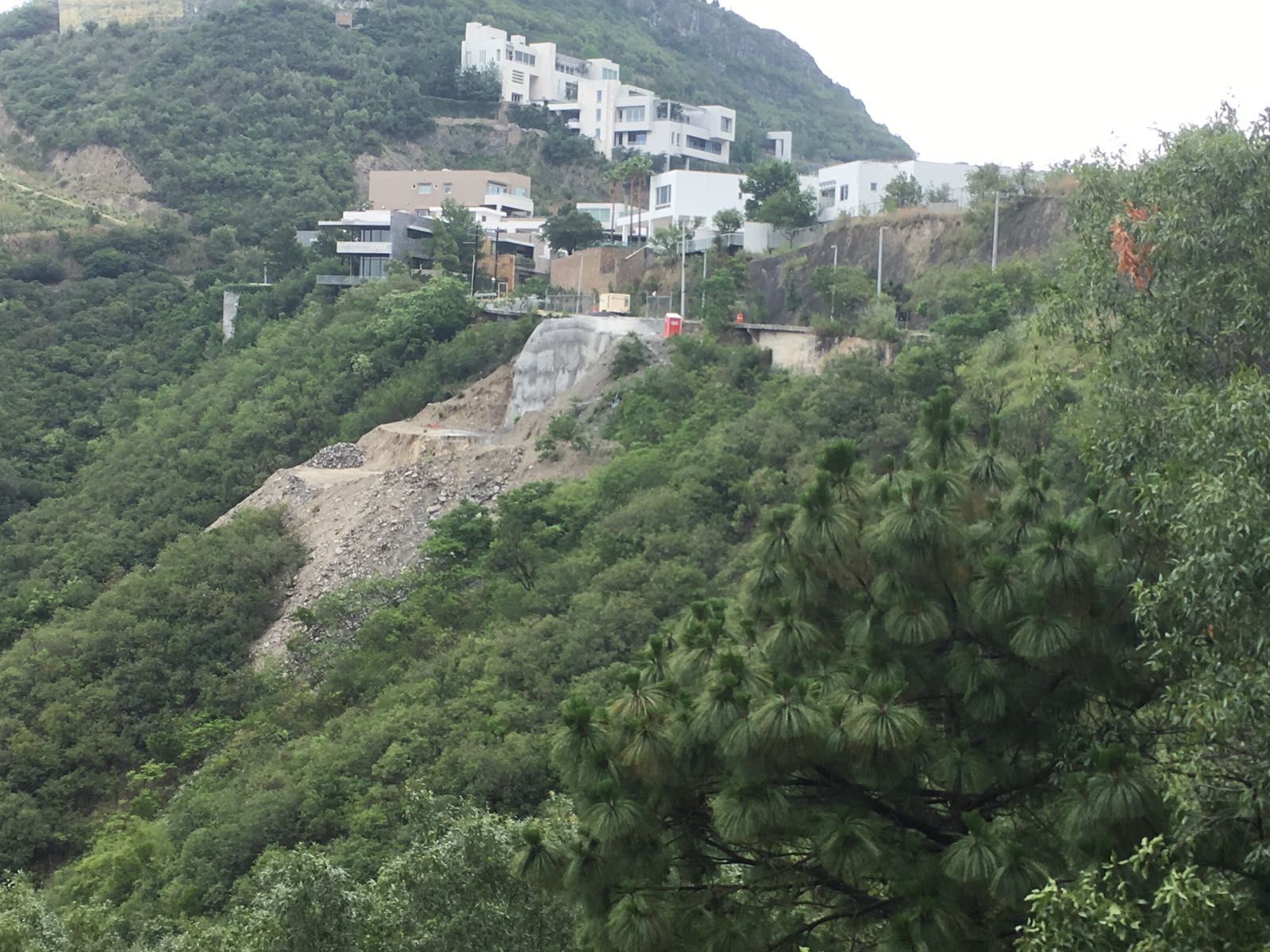 No había permiso para desmonte en colonia Mesa de la Corona: Profepa
