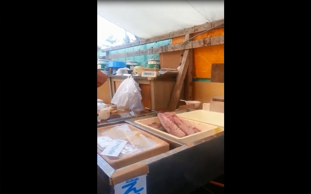 ¡Filete de pescado se sigue moviendo!
