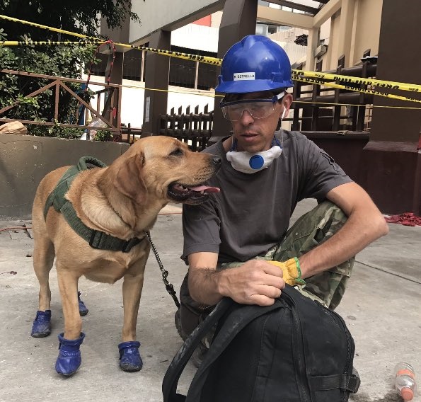 Yona, la perra que encontró a cinco personas entre escombros