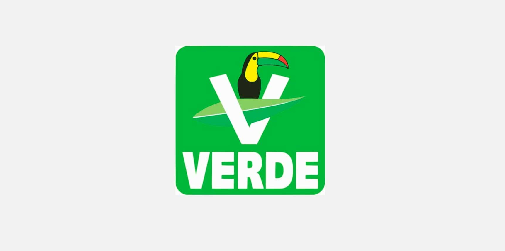 Sancionan al Verde por uso indebido de datos personales de ciudadanos
