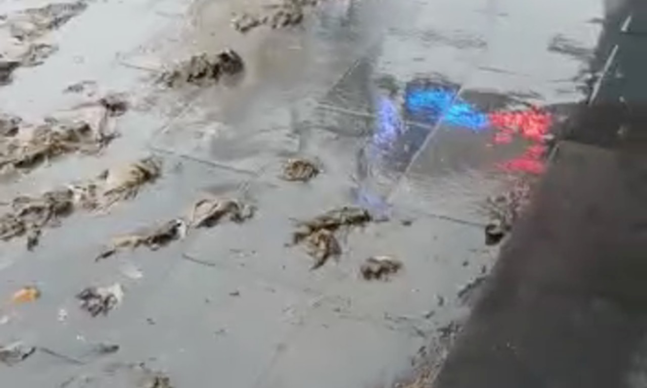 Colapsa drenaje e invade el centro de Monterrey
