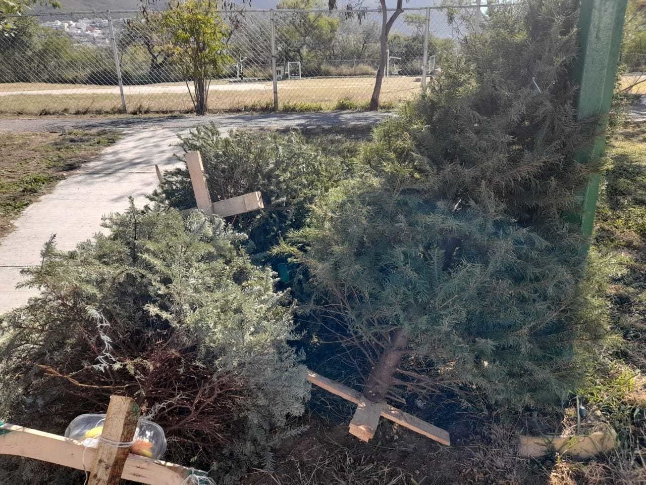 ¡Adiós Navidad!, vecinos sacan árboles y pinos