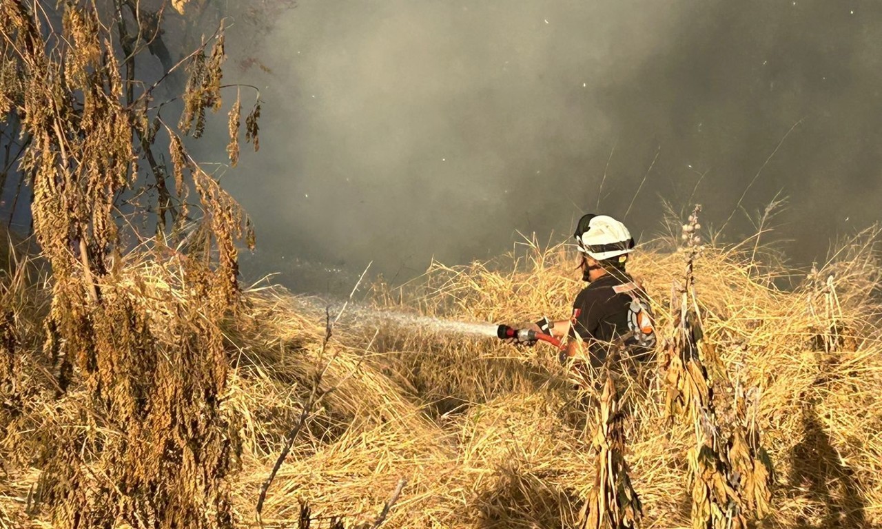 Sofocan incendio en lote baldío de la colonia Pío X