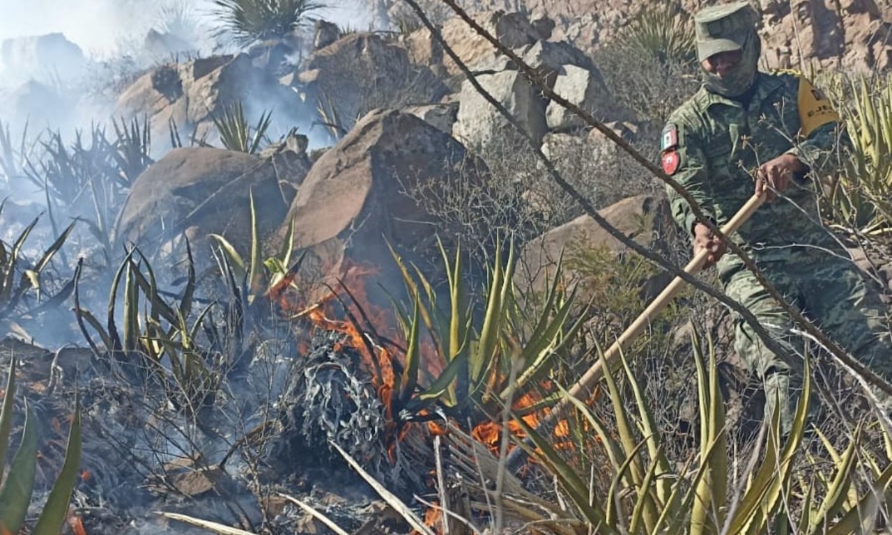 Controlan incendio en sierra del municipio de García