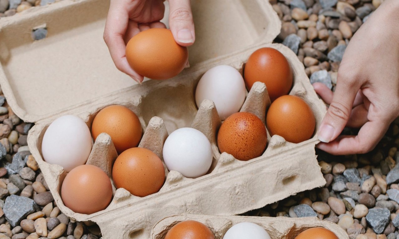 Por qué hay incremento en el precio del huevo?