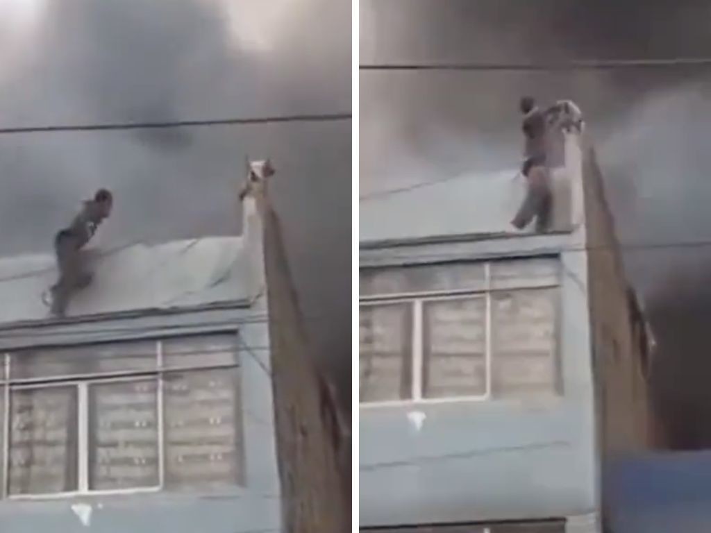 Héroe sin capa salva a 25 perritos durante incendio en Perú