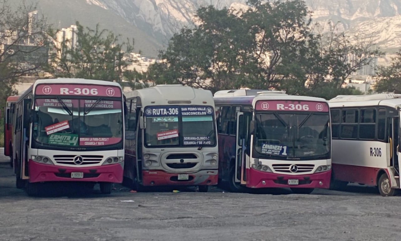 Inhabilitan 12 camiones de la Ruta 306 tras revisión