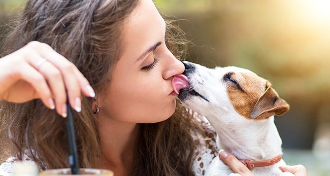 ¡Cuidado! Besar a mascotas podría estar ligado a cáncer de estómago