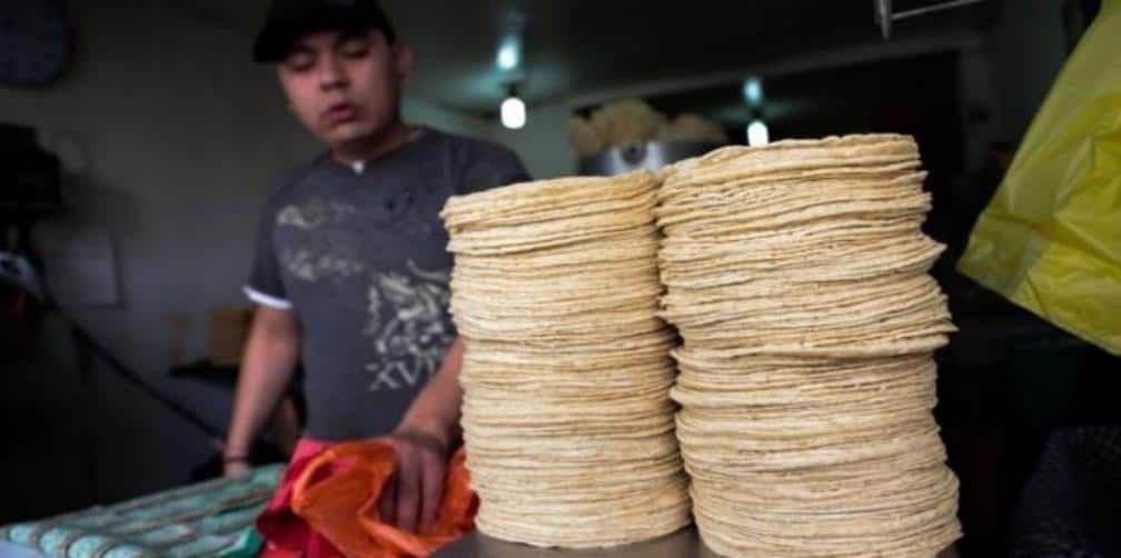Kilo de tortilla aumentaría hasta 17 pesos este 2018