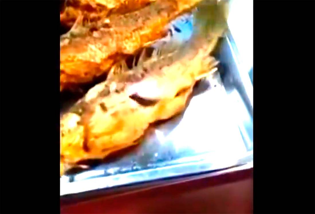 Video muestra pescado que se mueve después de cocinado