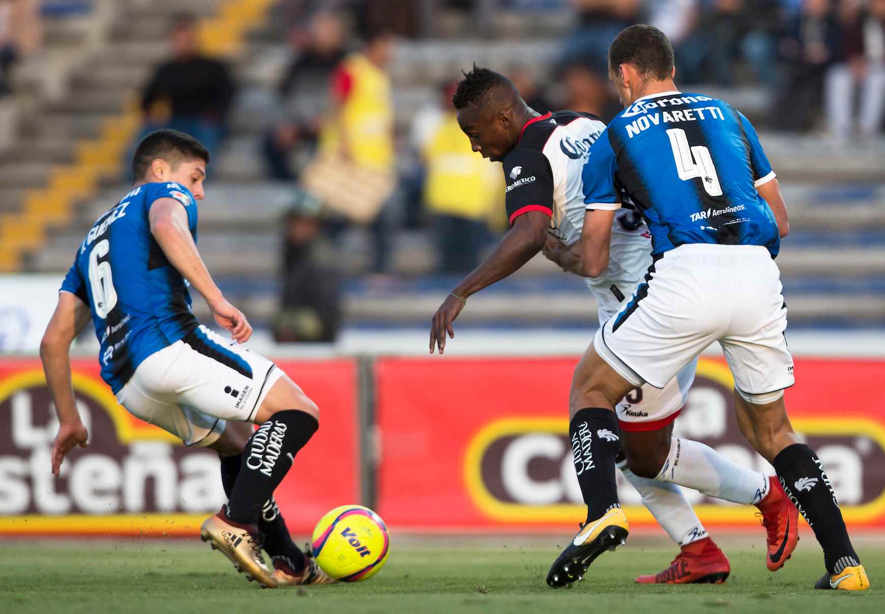 Gallos cantan y los Lobos duermen