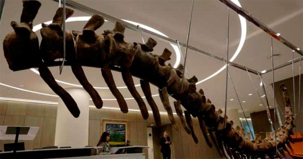 Subastan cola de dinosaurio en 96.774 dólares