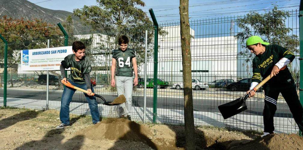 Plantan 40 árboles en nuevo Campo Avispones