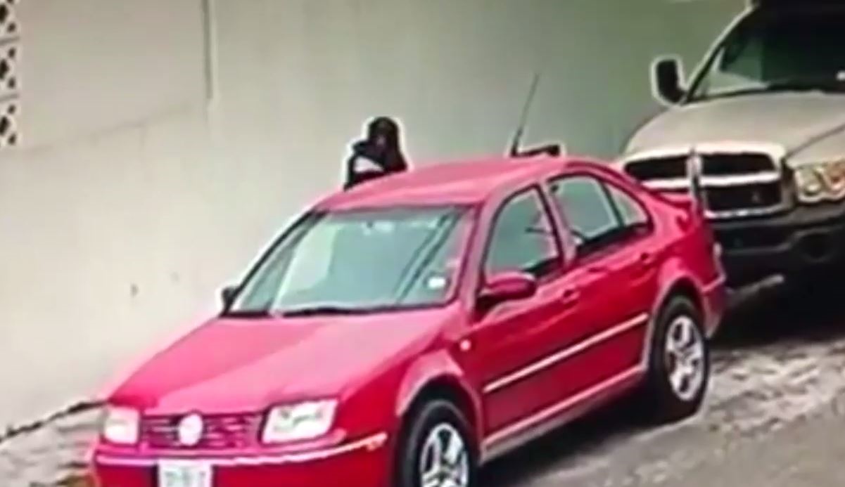 Cristalean auto a plena luz del día en la Col. Las Puentes