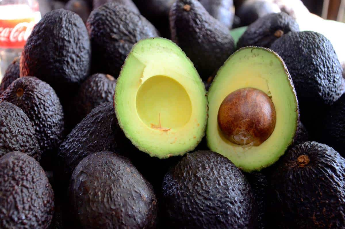México, primer productor mundial de aguacate en 2017