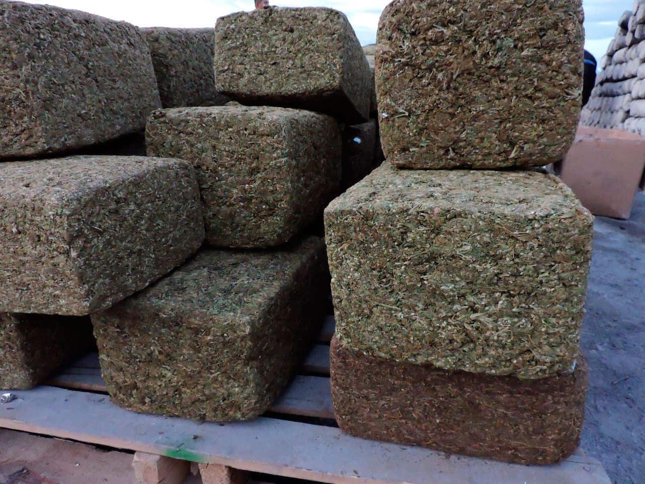 Incineran 1.5 tonelada de droga