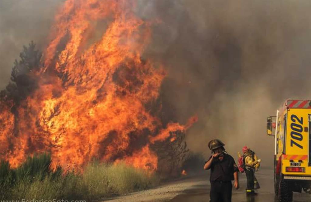 Prenden fuego para carne asada y queman 1,000 hectáreas