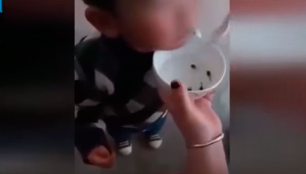 Alimenta madre a su hijo con renacuajos vivos