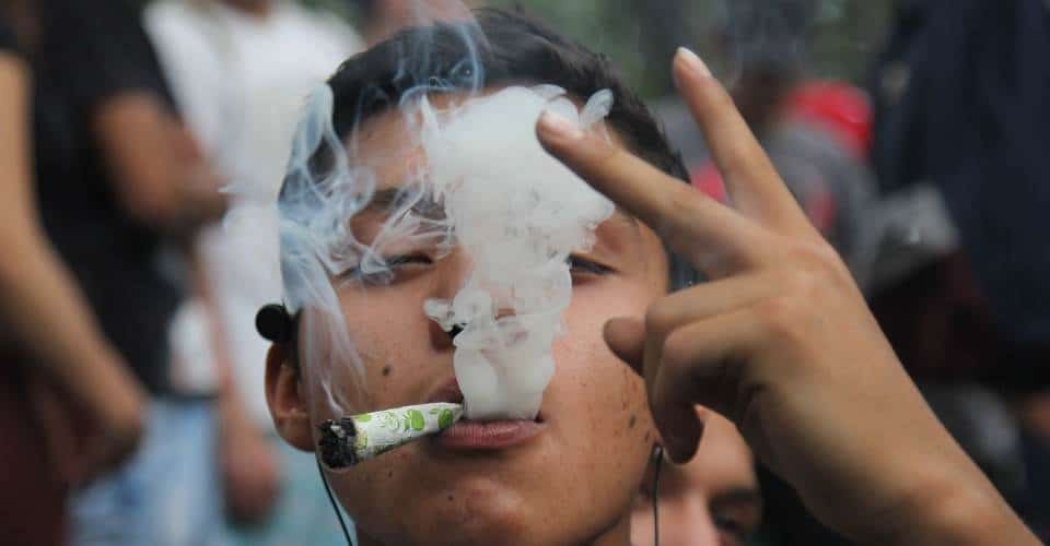 Suprema Corte concede amparo para consumo de mariguana