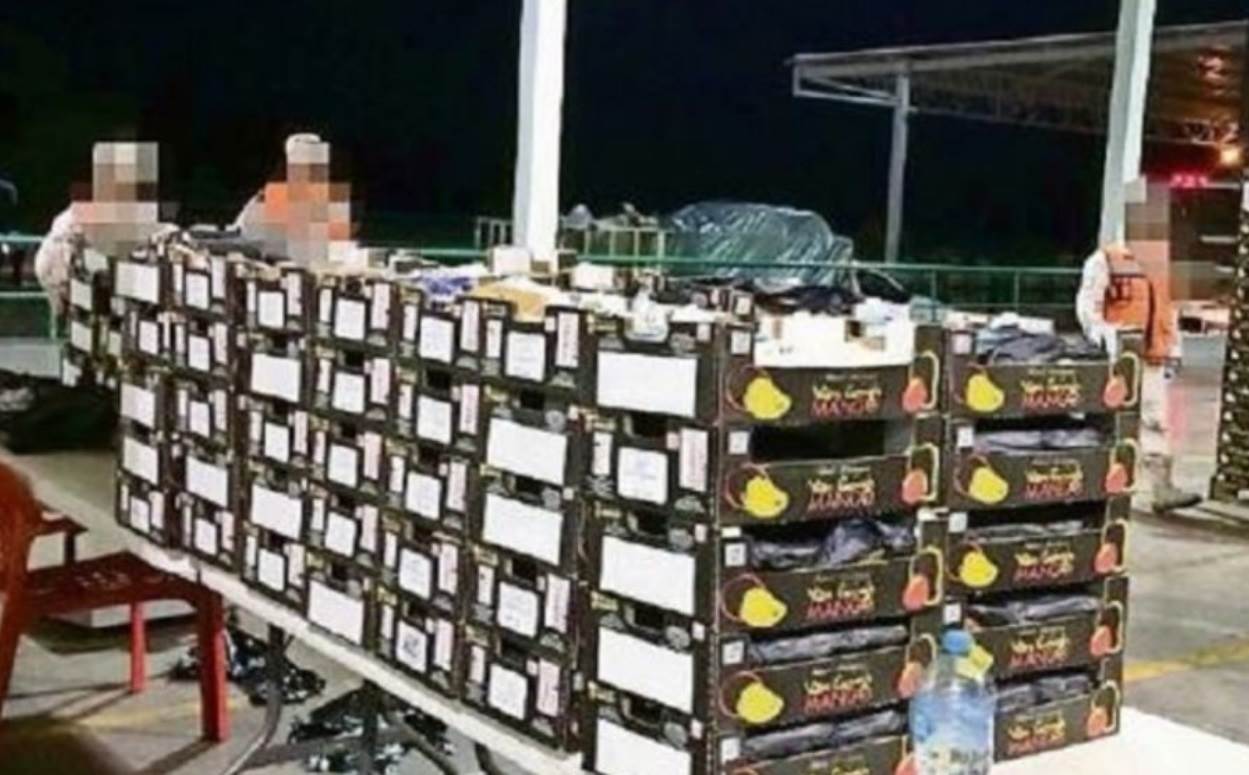 Esconden narcóticos en carga de mangos