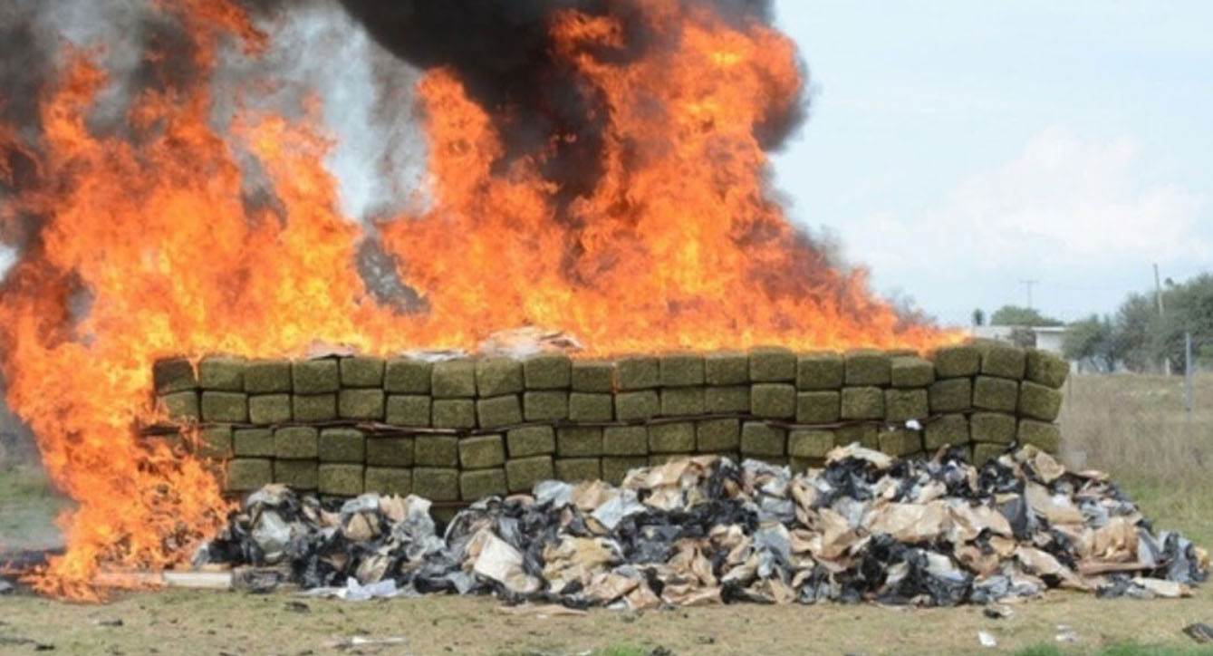 Incineran más de cinco toneladas de marihuana en Tamaulipas