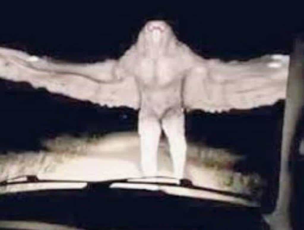 Avistan al ´hombre pájaro´en Coahuila