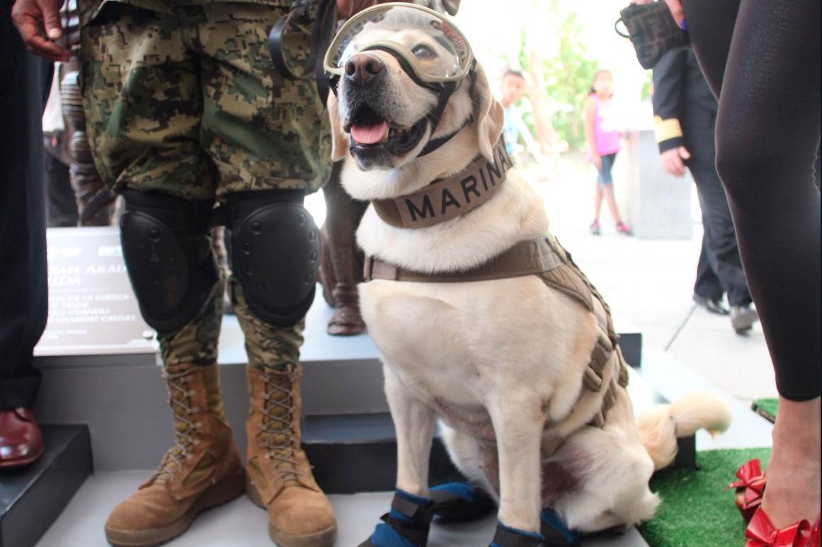 Rinden tributo a perrita Frida; develan estatua en Puebla