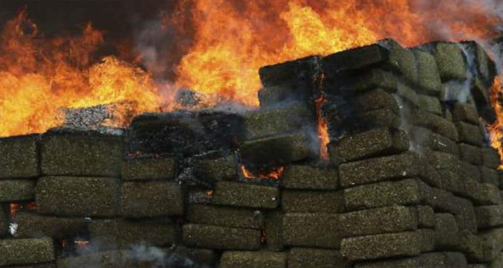 Federales incineran más de dos toneladas de droga en Durango