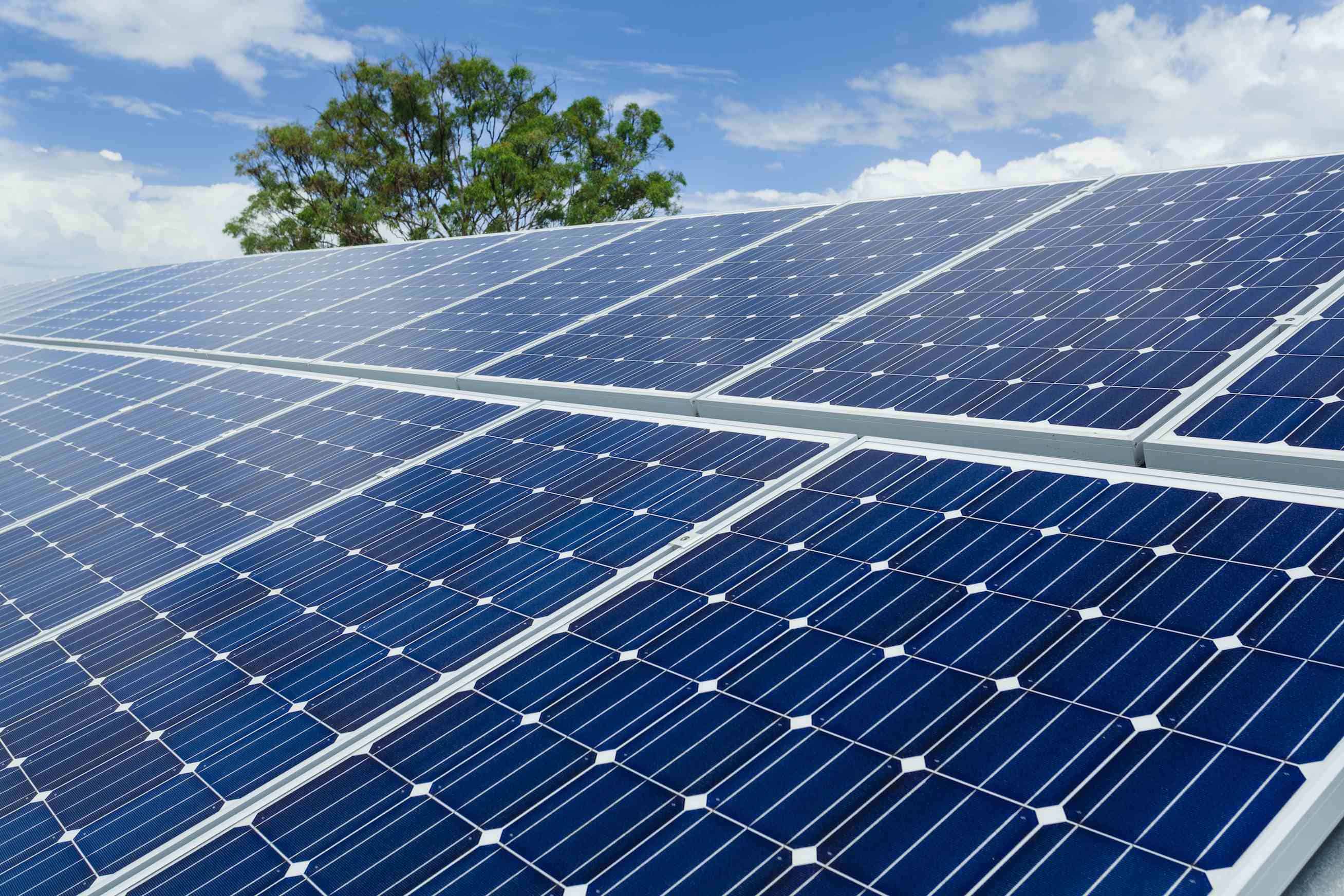 Energía solar es desaprovechada en México por desconocimiento: experto