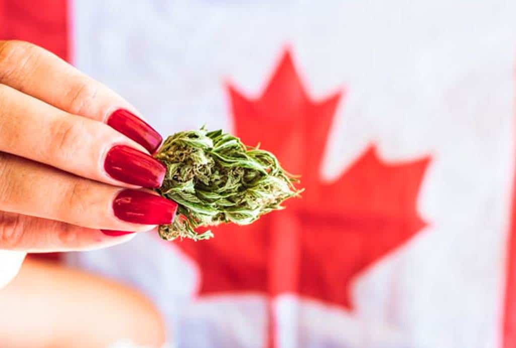 Canadá importará marihuana de Colombia para surtir su mercado lúdico