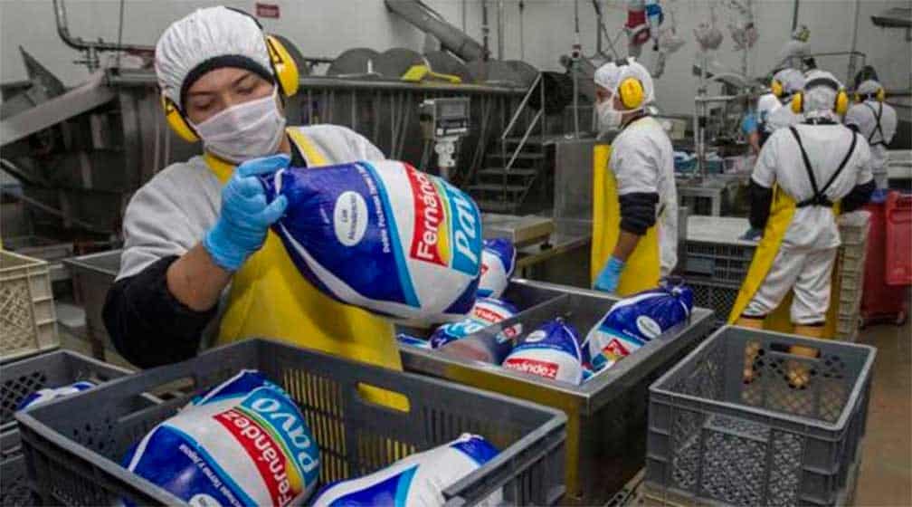 Temen por productos de pavo contaminados con salmonela