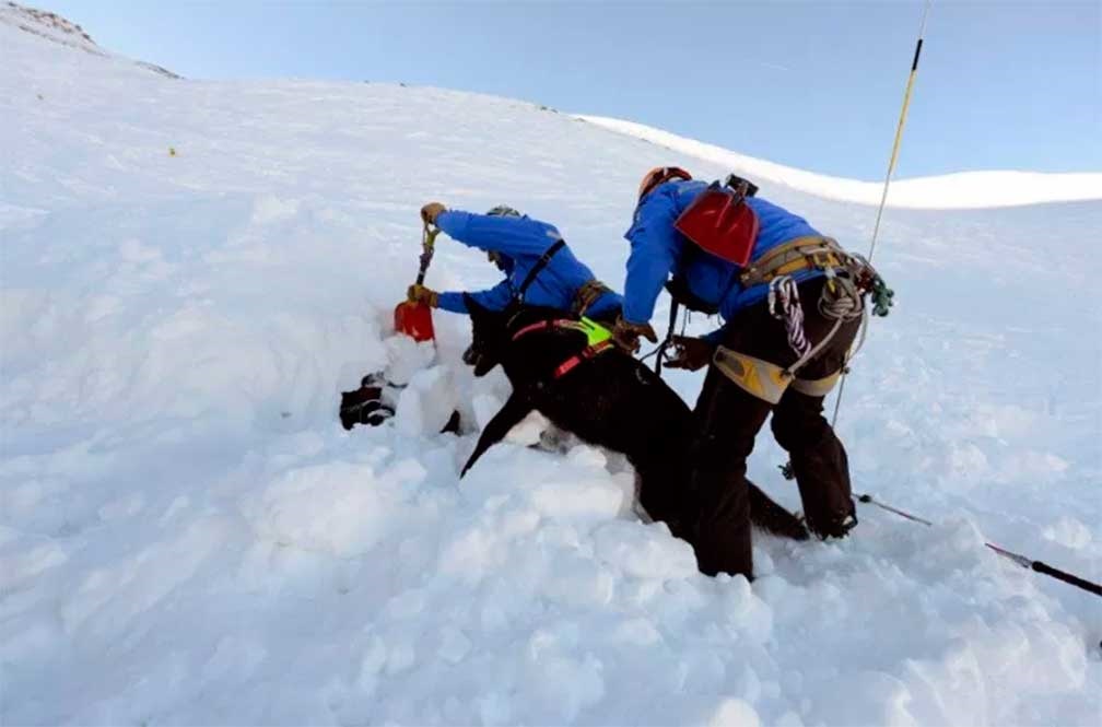 Avalancha sepulta a niño por 40 minutos en los Alpes franceses