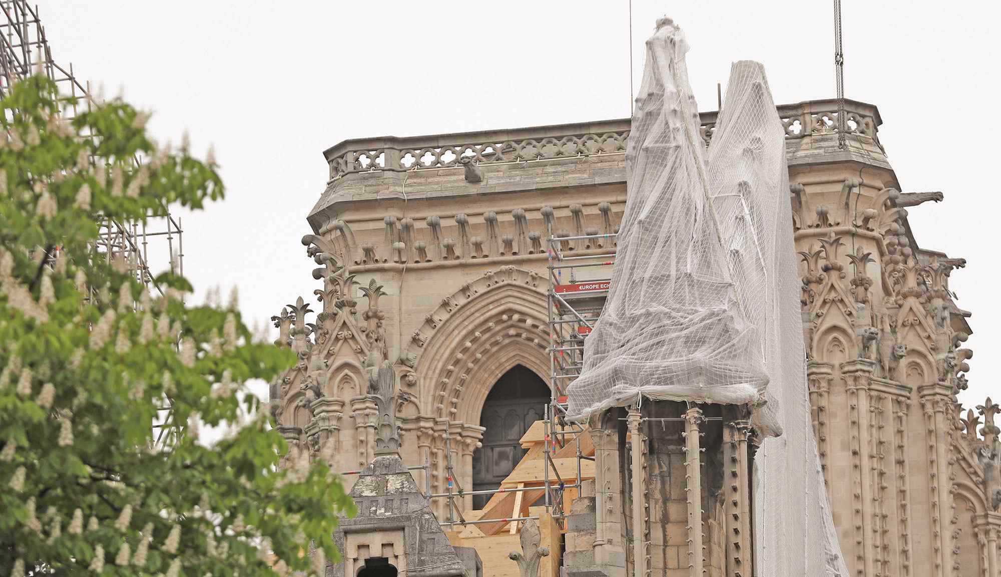 Arman 'paraguas' para Notre Dame