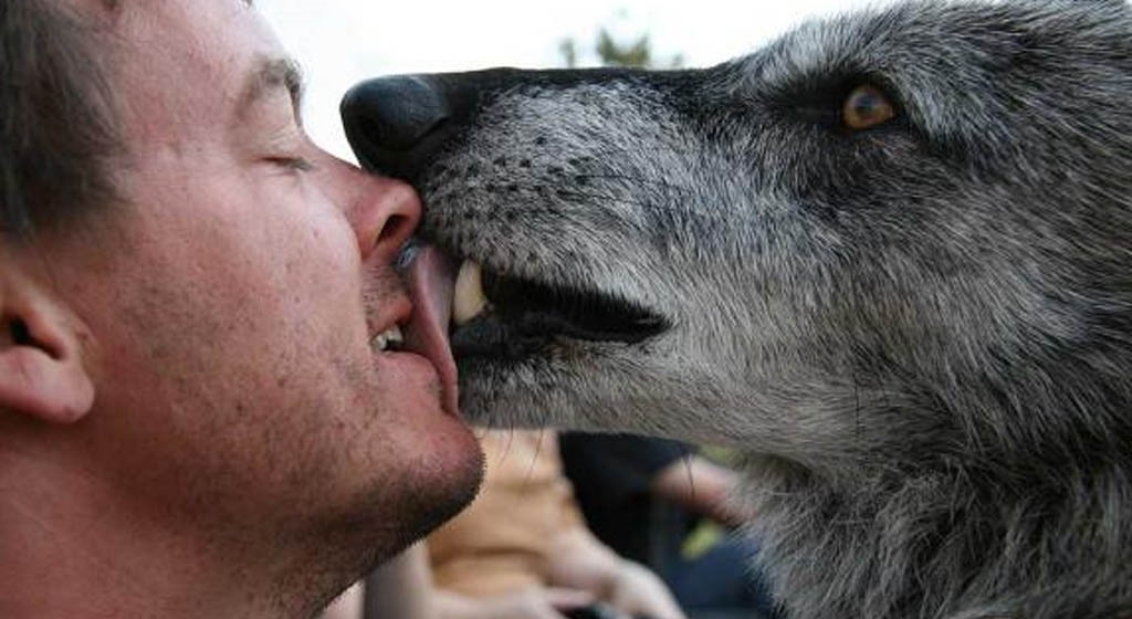 Besar a tu mascota podría causarte cáncer de estómago