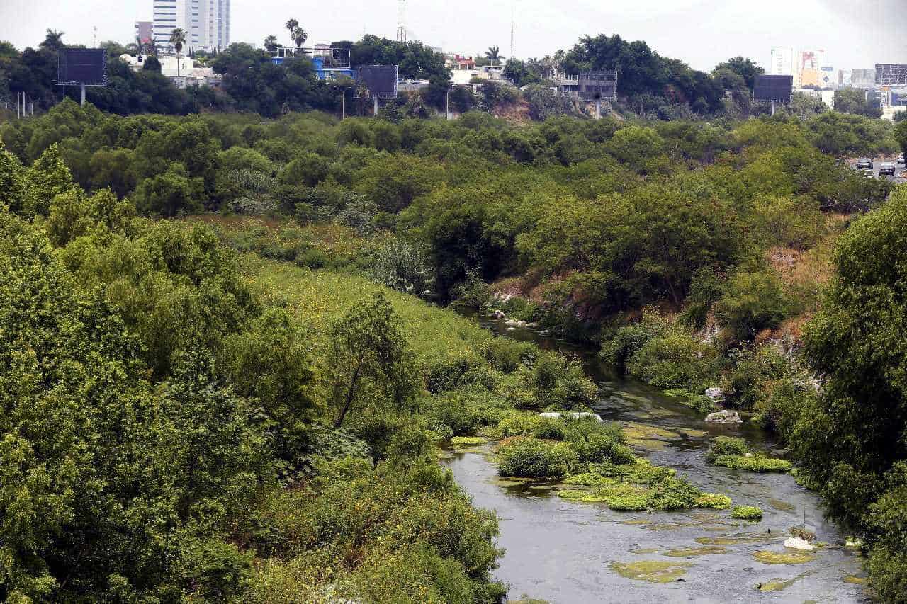 Limpiarán este sábado el río Santa Catarina