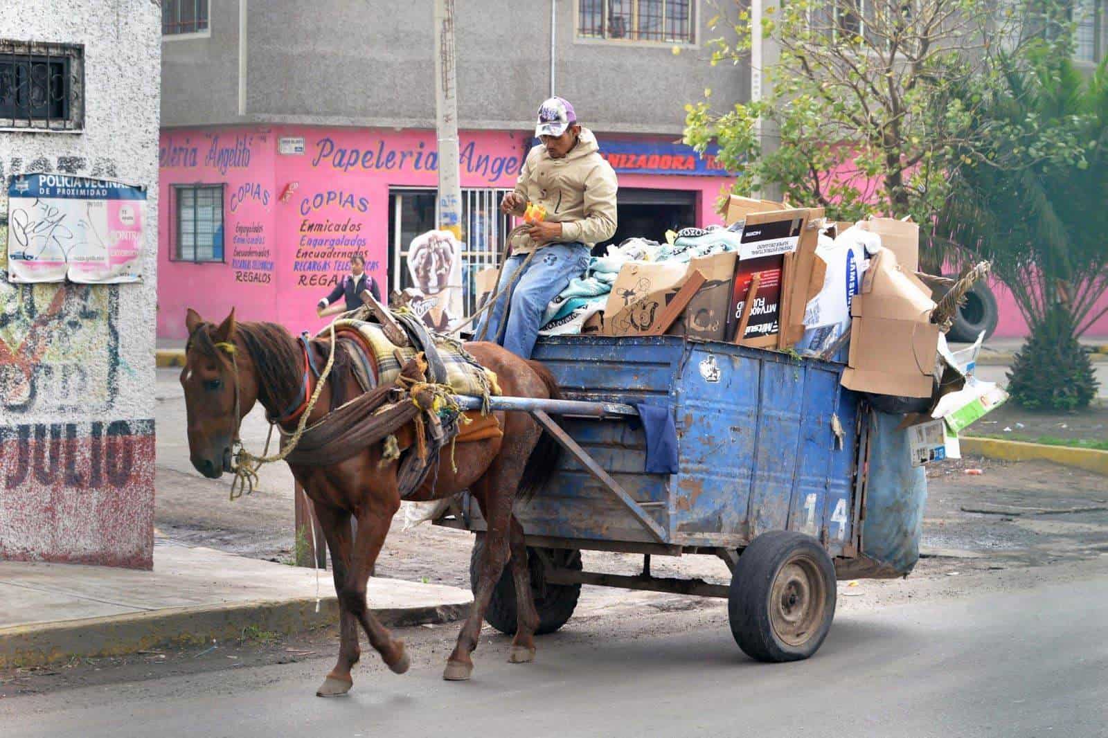 Echan pa' atrás reformas a Ley de Protección Animal