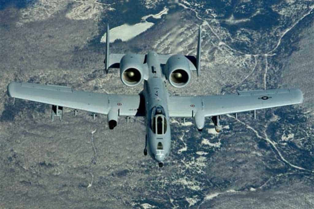 Pájaro provoca que avión de combate lance tres bombas sobre Florida