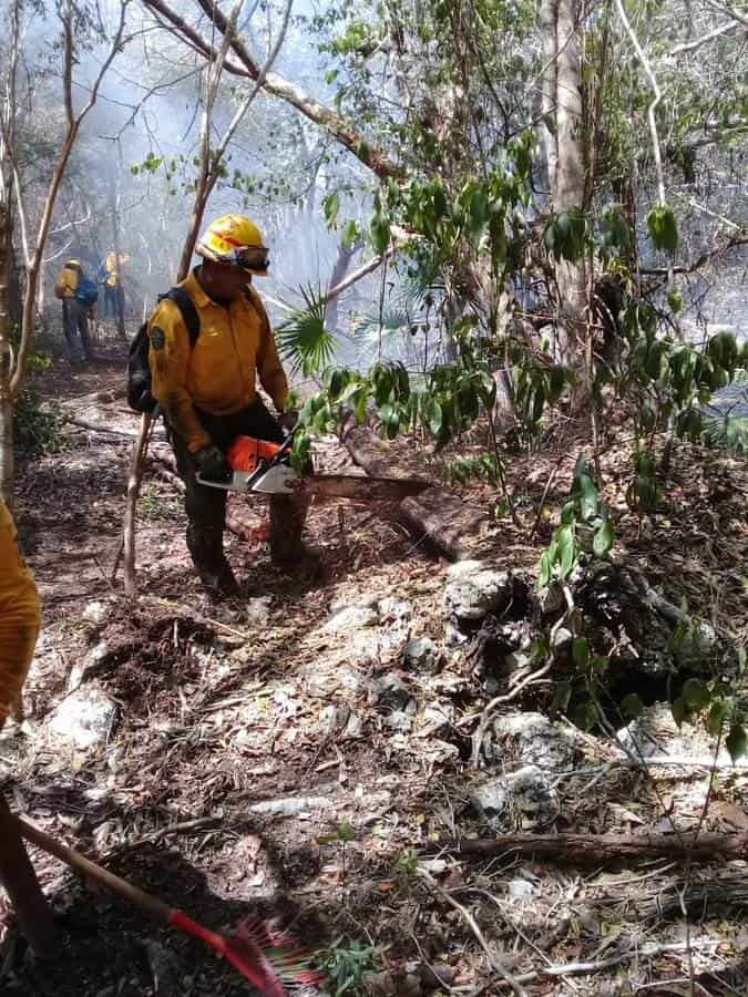 Controlan al 80 por ciento incendio forestal en Sian Ka'an