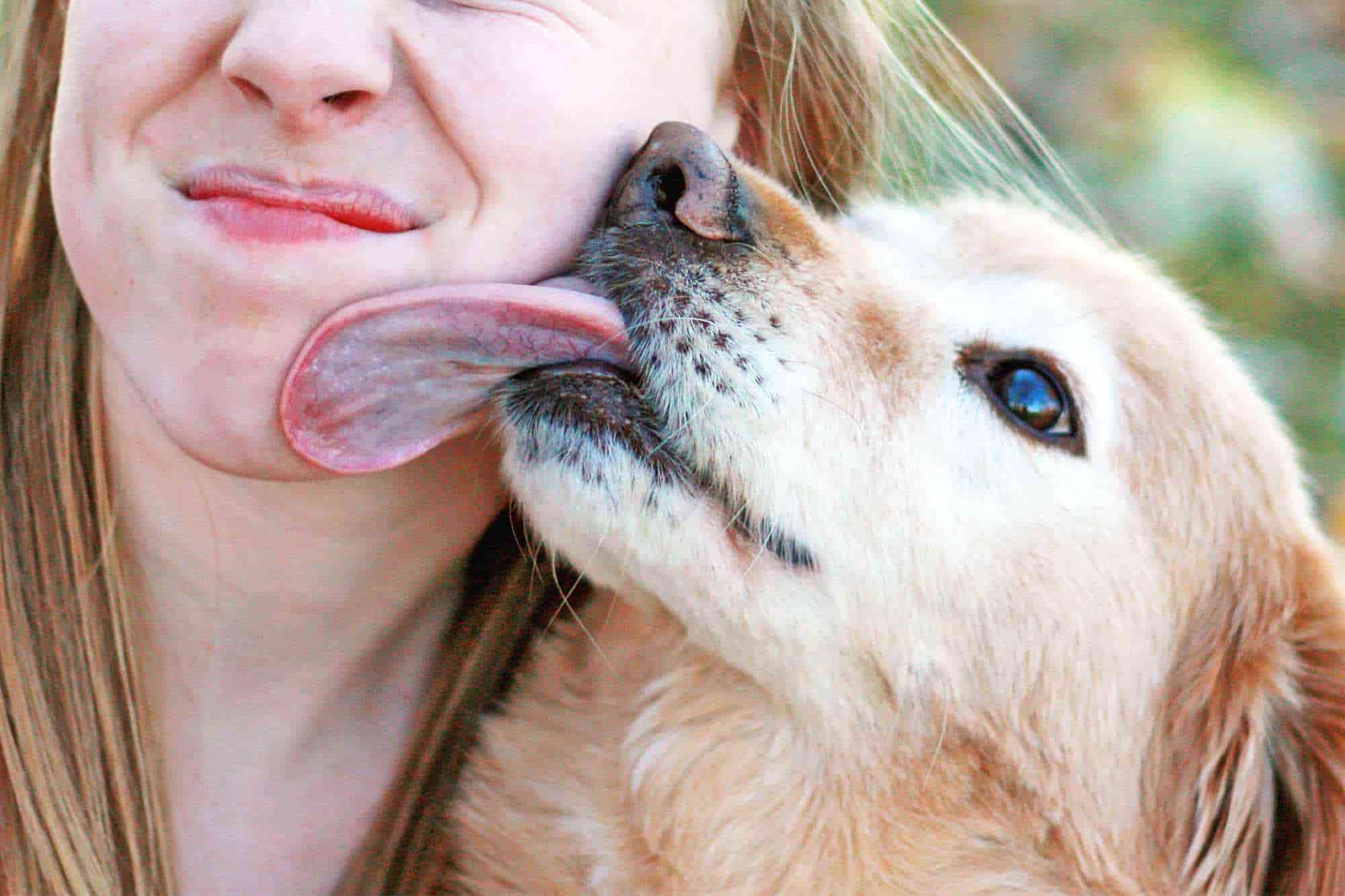 Cuídate de los ‘besos’ de tus mascotas, podría ser causa de enfermedades