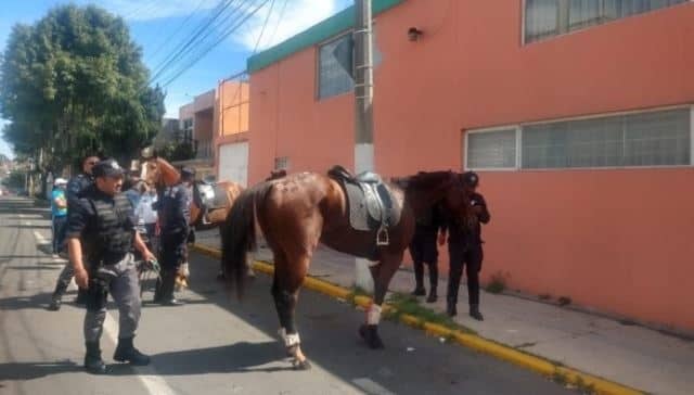 Estampida de caballos causada por pirotecnia lesiona a 2 mujeres
